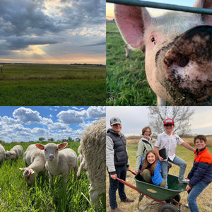 Values Based Food and Agriculture.