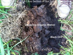 Growing Soil