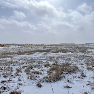 Spring Snow and Possible Drought