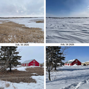 The Importance of Snow